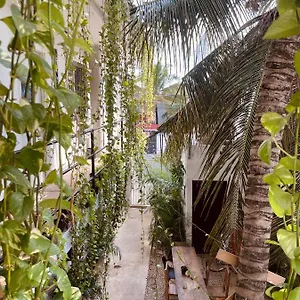 anana-coliving.allrivieramayahotels.com/